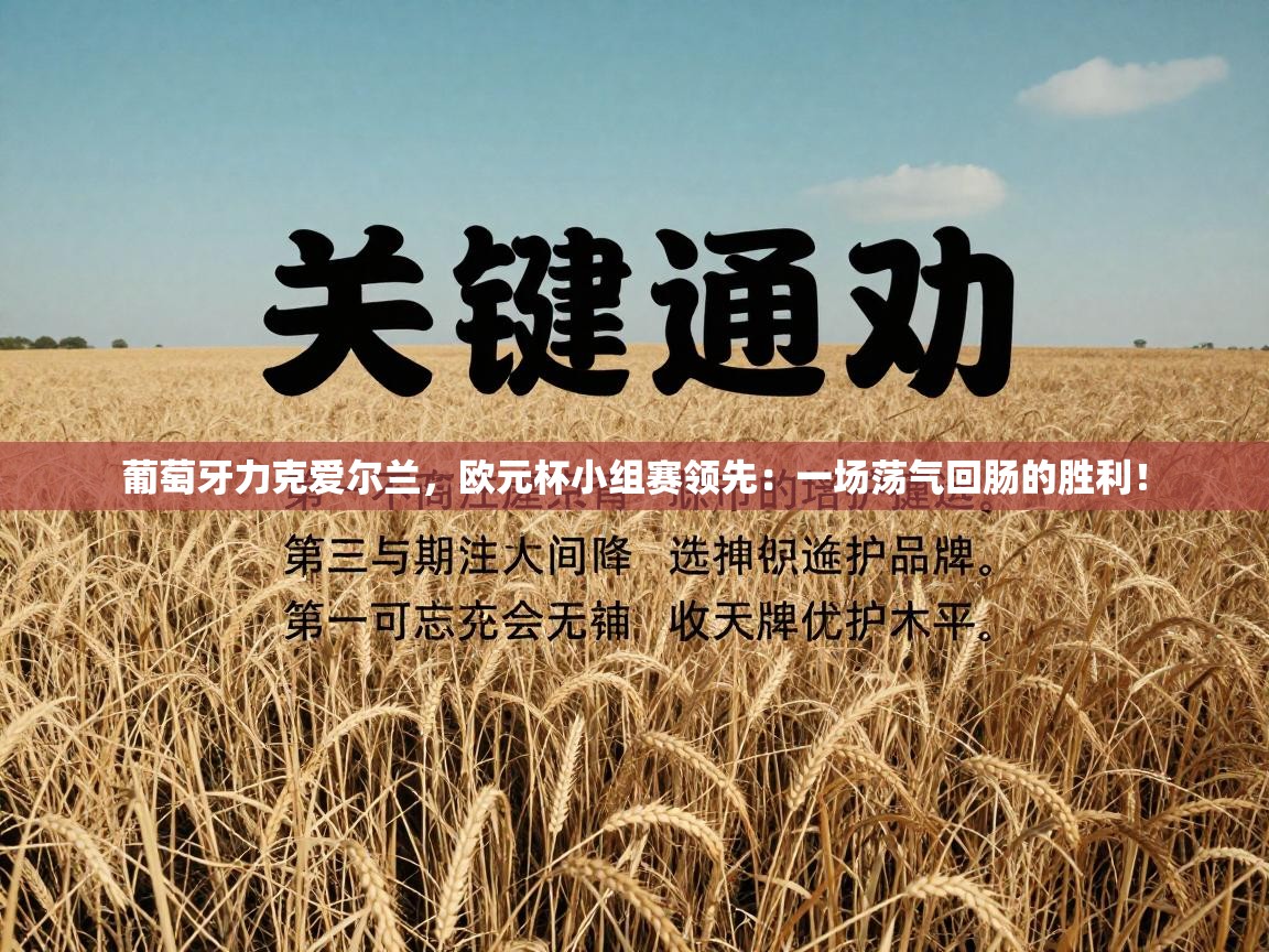 葡萄牙力克爱尔兰,欧元杯小组赛领先:一场荡气回肠的胜利! 第1张