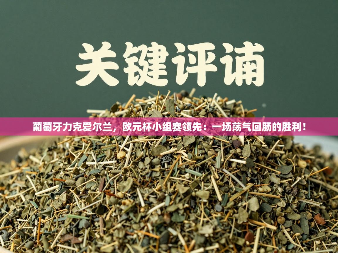 葡萄牙力克爱尔兰,欧元杯小组赛领先:一场荡气回肠的胜利! 第2张
