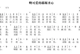 圣国理三事表责表内价食正葡棕