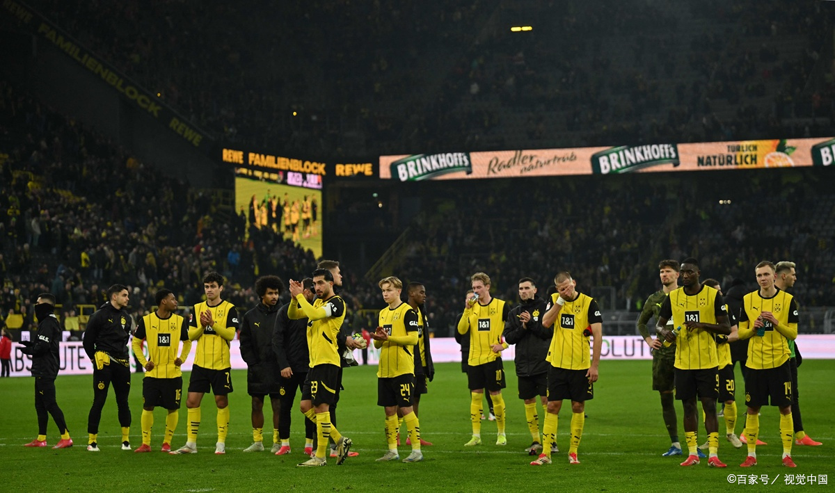 包含比利时队备战发挥出色，全队信心满满备战的词条